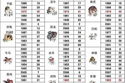 2007属相|2007年出生的属什么,2007年是什么生肖